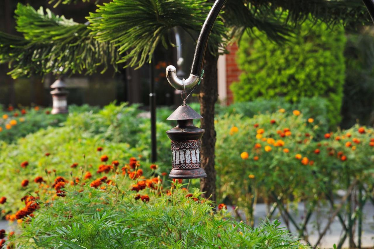 Hotel Dandelion Pokhara Luaran gambar