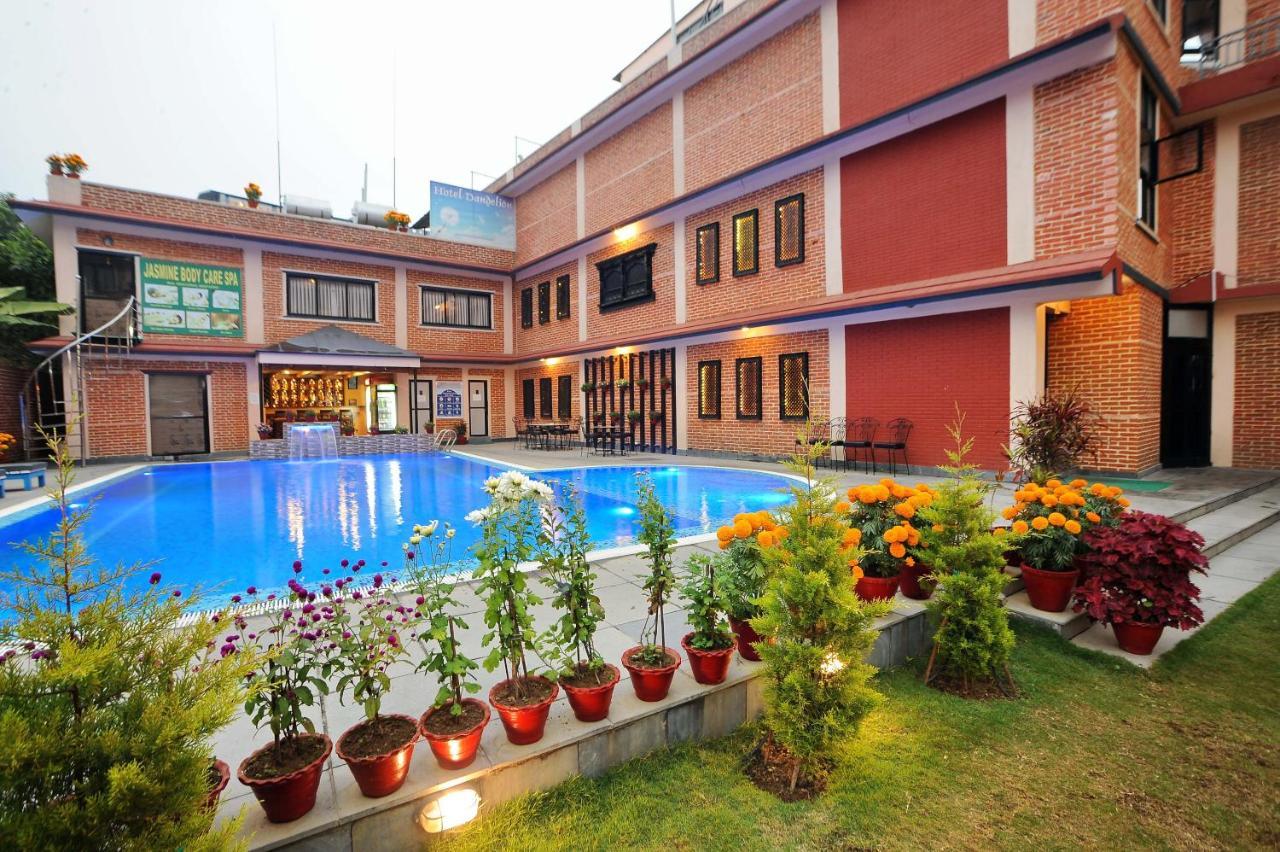 Hotel Dandelion Pokhara Luaran gambar