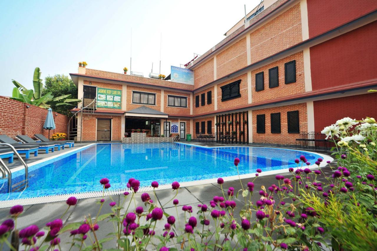 Hotel Dandelion Pokhara Luaran gambar